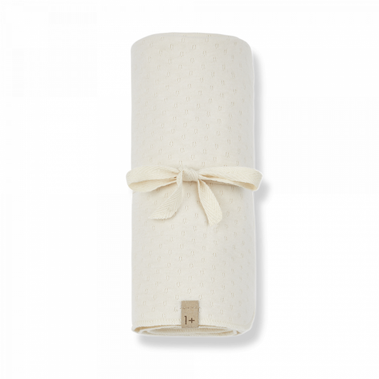 Couverture Asis | Ivory