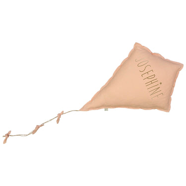 Jean le coussin cerf volant | Palette de couleur